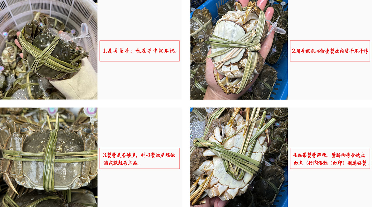 1750666477449475.jpg 001.jpg